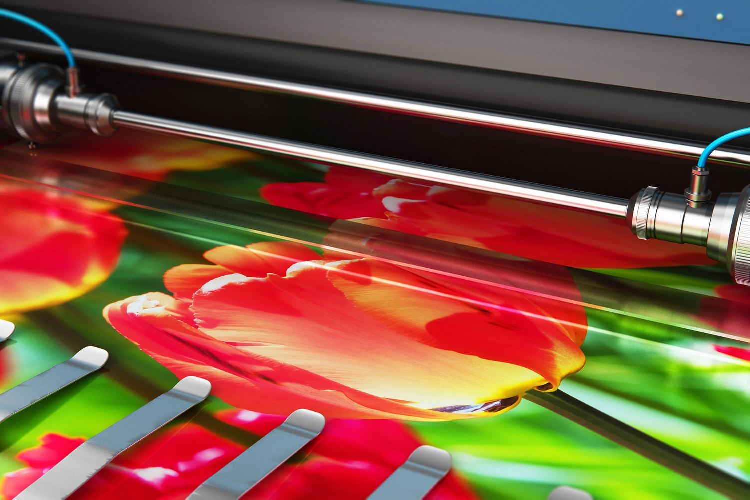 Other Signage and Display Solutions