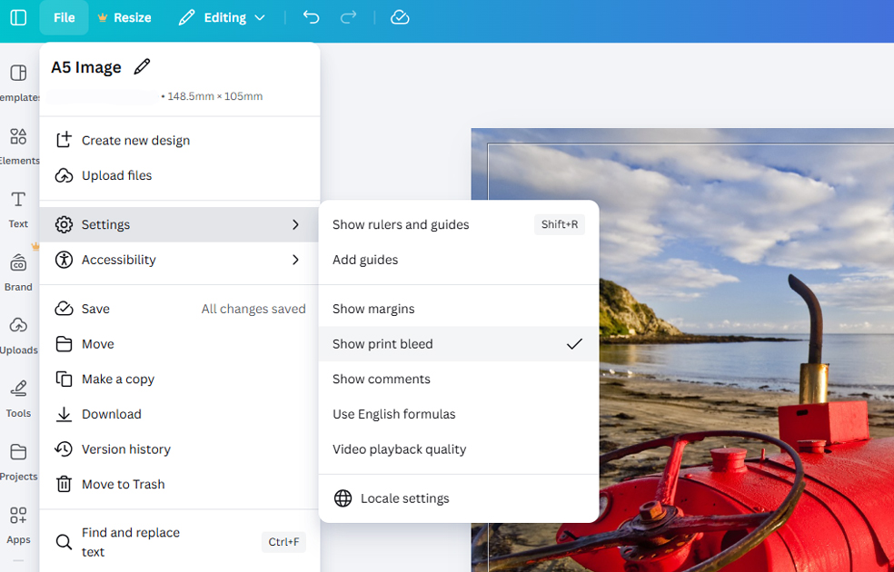 Canva Screenshot Settings 1