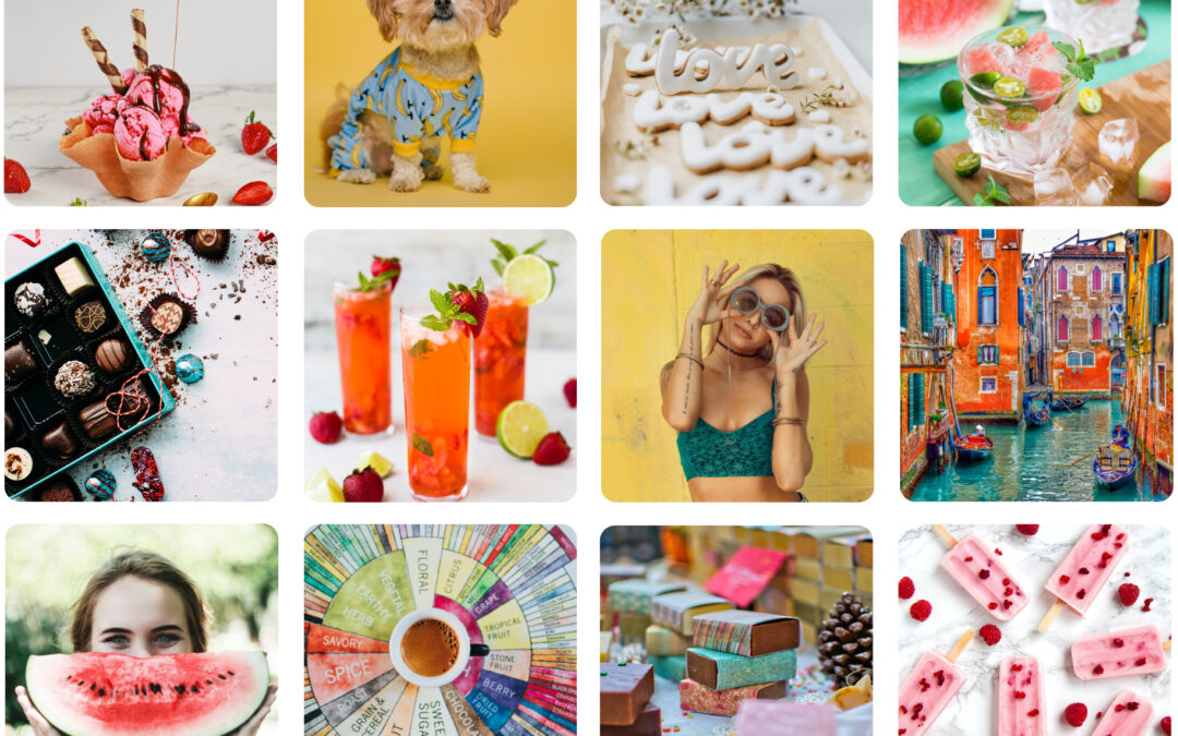 Where to Find Free Stock Images for Your Designs